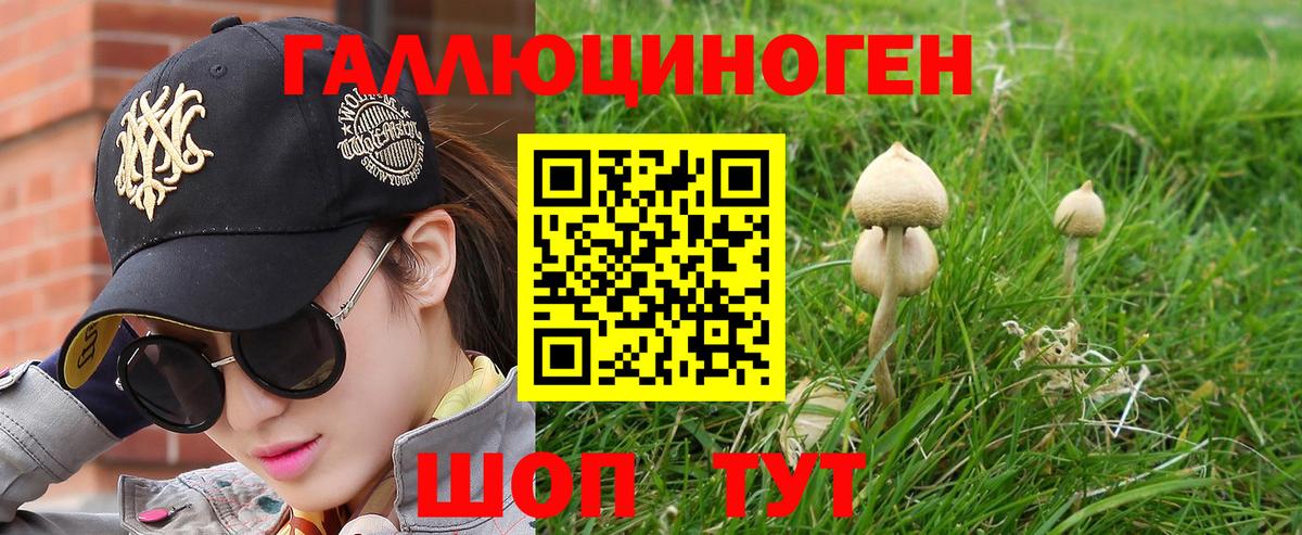 Галлюциногенные грибы Magic Shrooms Алексеевка