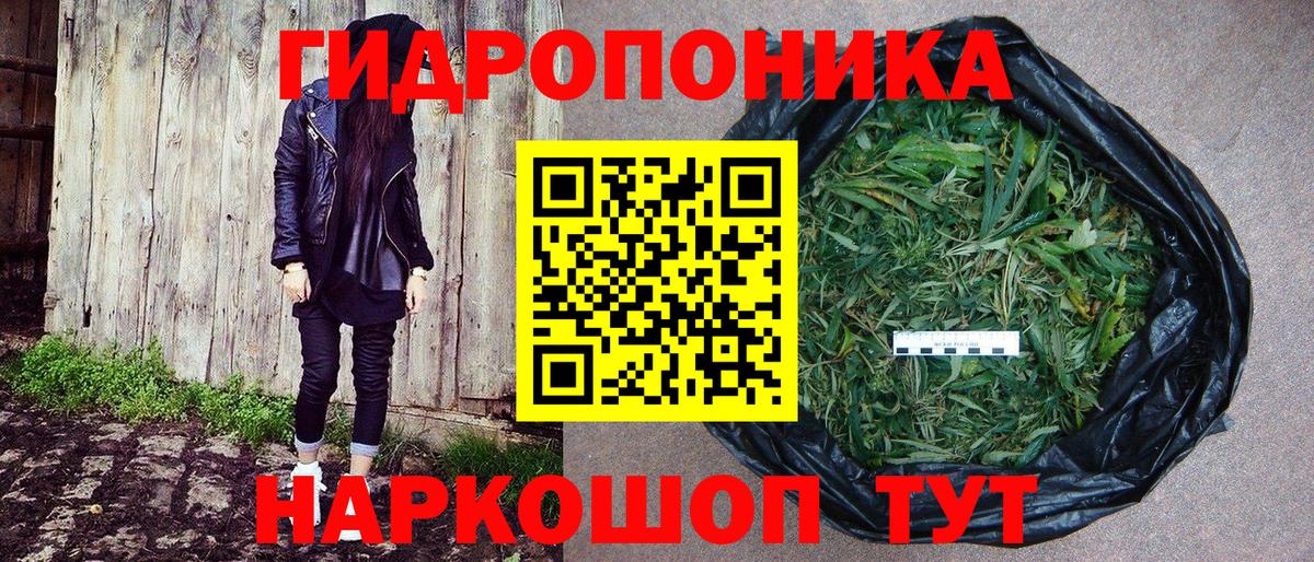 Алексеевка  Канабис SATIVA & INDICA  Канабис Ganja  Вход с VPN  Шишки марихуана OG Kush 